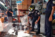 Revisión de hidrantes en el Mercado Oriental