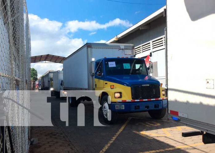 Camiones con juguetes para distribuirse en Managua