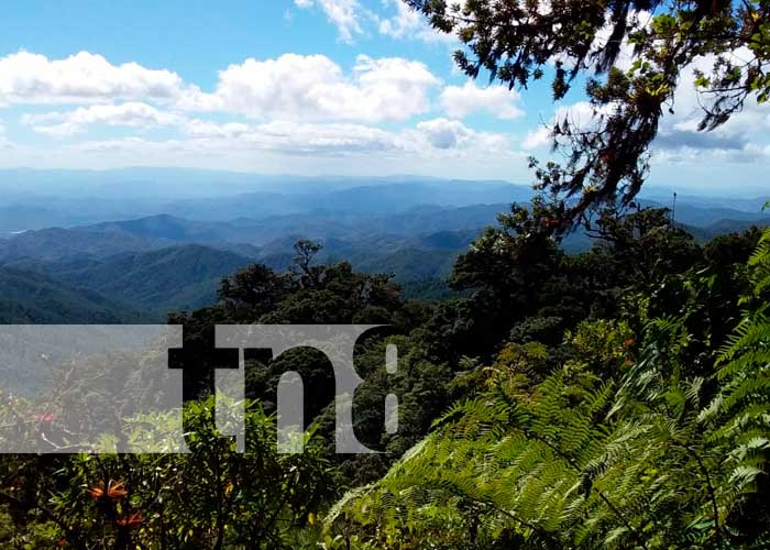 Una aventura inolvidable en el Cerro Mogotón, la montaña más alta de Nicaragua