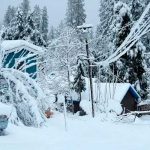 Rompe récord la cantidad de nieve que ha caído en Sierra Nevada, California