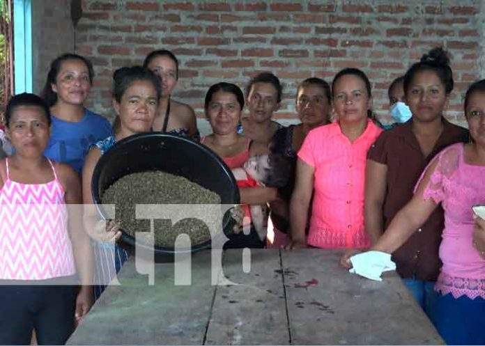 Mujeres salen adelante con estrategias productivas del Gobierno en Ometepe