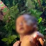 ¡Milagro! Bebé abandonada en un bosque de tailandia sobrevivo a picaduras