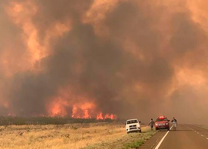  Incendios forestales en Argentia continúan afectando varias provincias 