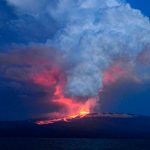 El volcán Wolf santuario de iguanas rosadas de Galápagos, entra en erupción