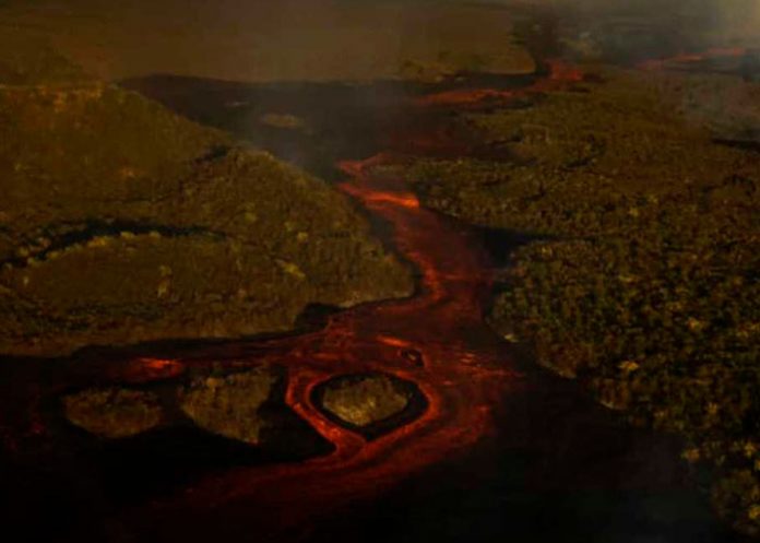 Videos de la erupción del Volcán Wolf, iguanas rosadas, ¿en riesgo?