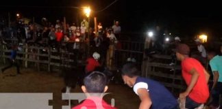 Realizan corridas de toros para dar la bienvenida al 2022 en la Isla de Ometepe