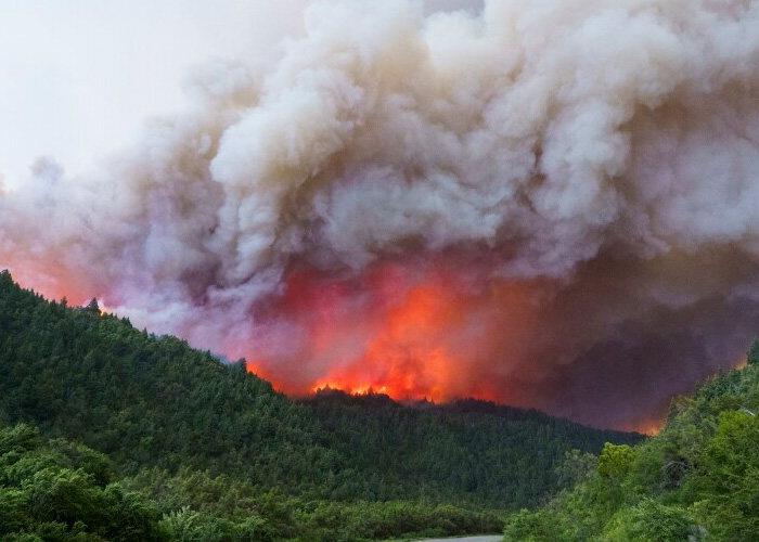 Incendios forestales en Argentia continúan afectando varias provincia