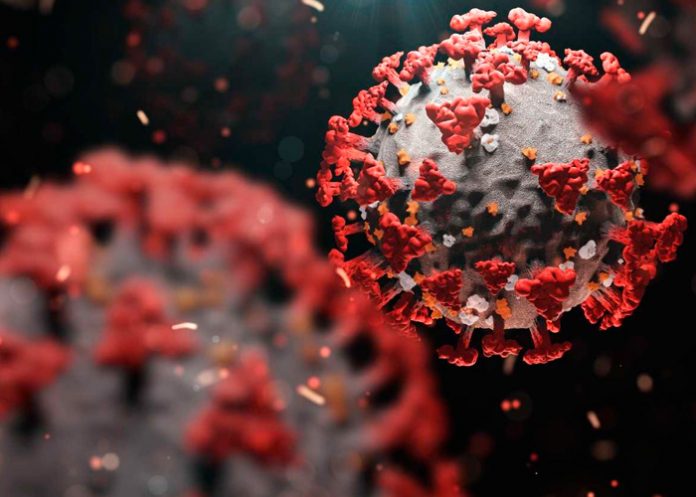 ¡Otra más! Científicos en Suecia detectan nueva mutación de ómicron