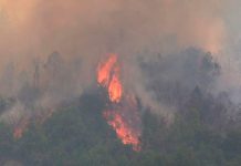 Incendios forestales en Argentia continúan afectando varias provincias
