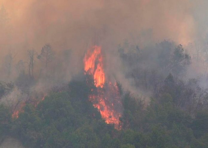 Incendios forestales en Argentia continúan afectando varias provincias