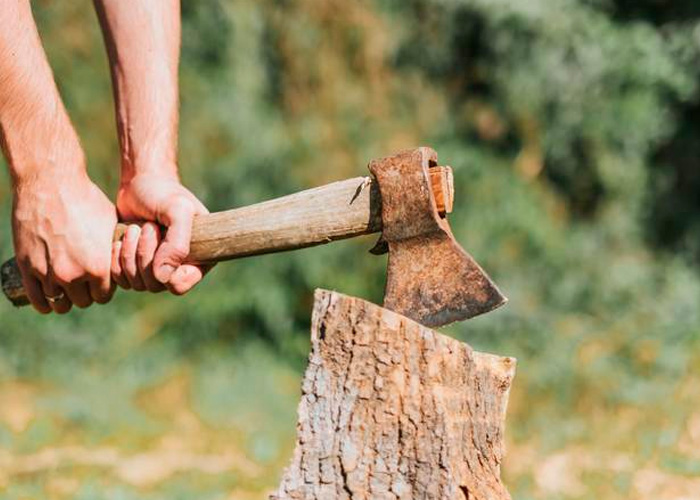  Más de 300 personas en India lincharon a un hombre por cortar árbol sagrado