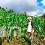 El MEFCCA garantiza seguridad alimentaria en el Caribe Norte