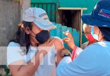 MINSA continúa proceso de inmunizando en Managua