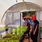 Inauguran microtúnel para el cultivo de hortalizas en Nandaime