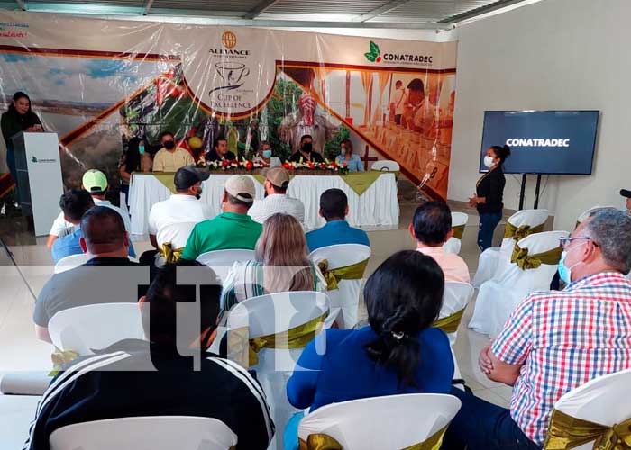 Realizan lanzamiento del certamen "Taza de la Excelencia 2022" en Jinotega