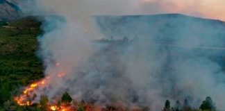 Incendio en la Patagonia, Argentina arrasa más de 80.000 hectáreas