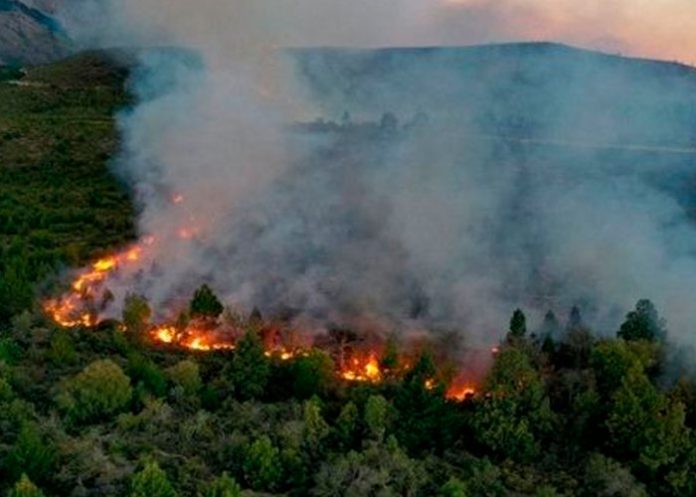 Incendio en la Patagonia, Argentina arrasa más de 80.000 hectáreas