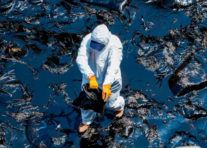 En Perú fueron afectadas por derrame de de petróleo faunas marinas