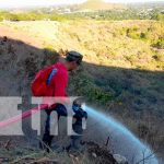 Bomberos sofocan incendio forestal en el cerro Mostastepe