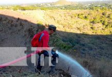 Bomberos sofocan incendio forestal en el cerro Mostastepe