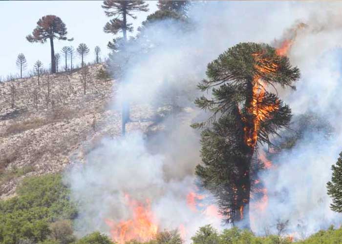  Incendio en la Patagonia, Argentina arrasa más de 80.000 hectáreas