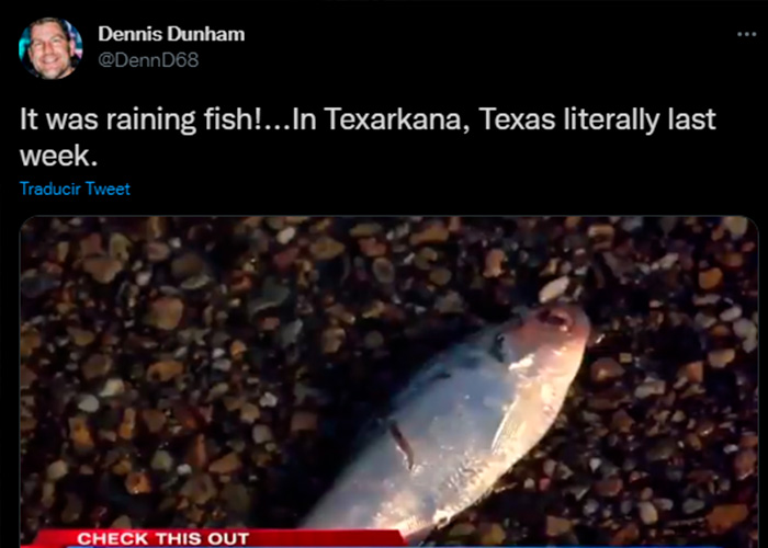 Peces caen del cielo en una ciudad de Texas, Estados Unidos