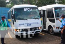 Realizan inspección mecánica en buses escolares en Bluefields