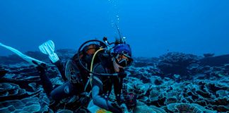 Un nuevo arrecife lleno de corales es descubierto en Tahití