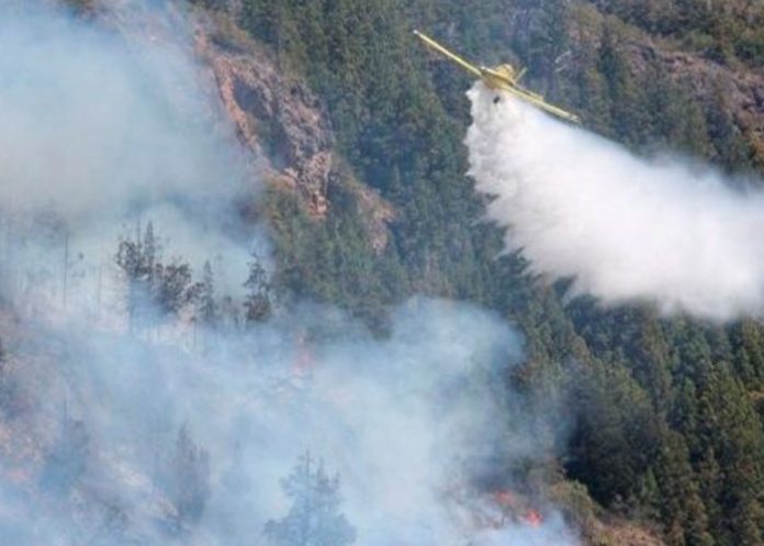 Lluvias logran controlar los incendios forestales en Argentina