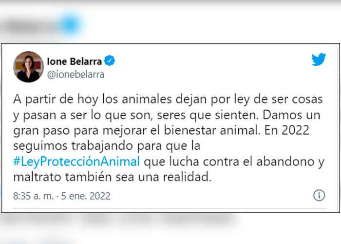 En España entra en vigor ley que reconoce a perros y gatos como "seres vivos"