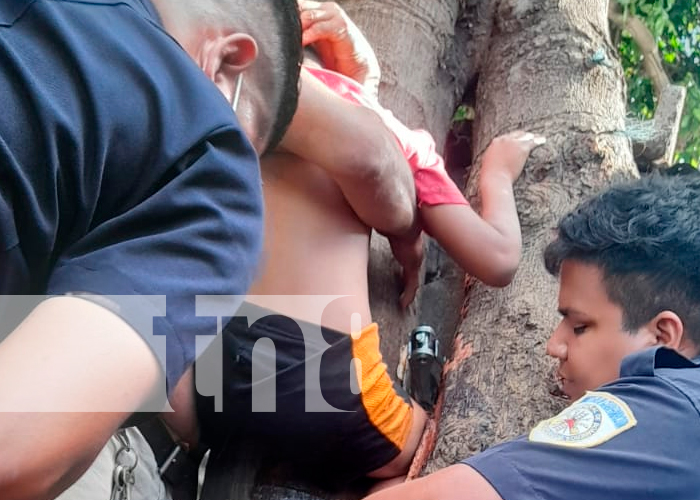 Managua: Bomberos rescatan a niño que quedó prensado entre dos árboles