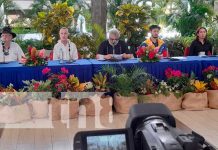 Conferencia de prensa por parte de brigadas de EEUU y Canadá, felicitando a Nicaragua