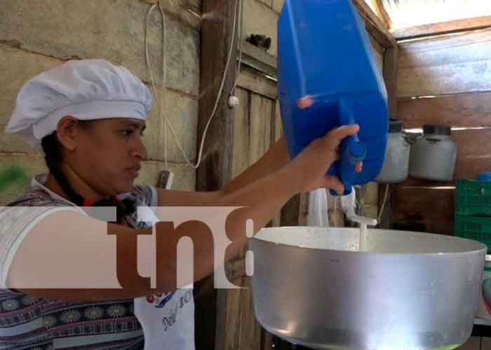 Negocio de procesamiento de la leche en el Caribe Norte