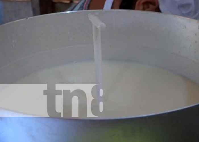  Negocio de procesamiento de la leche en el Caribe Norte