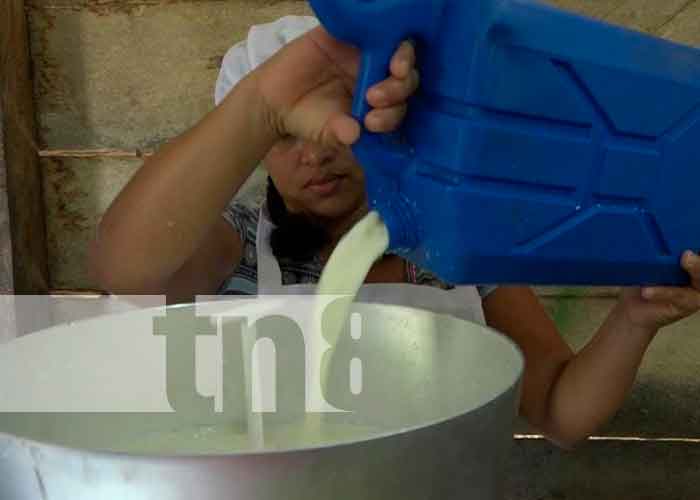  Negocio de procesamiento de la leche en el Caribe Norte