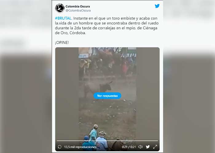 ¡Brutal! En Colombia toro cornea y mata a joven; le perforó el corazón