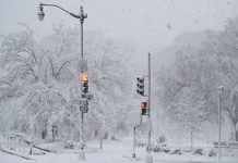 Confirman dos muertos en Estados Unidos por tormenta invernal