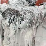 Cruda naturaleza: Animales congelados en Turquía tras intensas nevadas