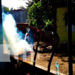 Jornada de fumigación y abatización en el barrio 22 de enero, Managua