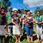 Producción de guayabas asiáticas en el Caribe Norte de Nicaragua