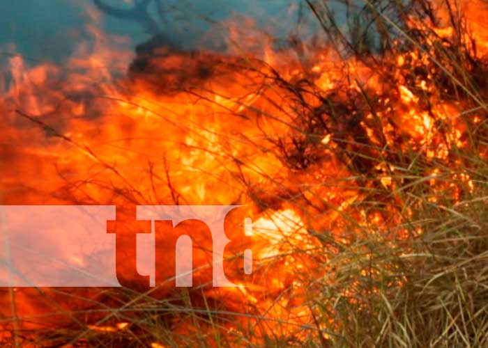 Incendios forestales en Nicaragua