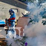 Jornada de fumigación y abatización de Managua