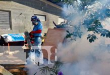 Jornada de fumigación y abatización de Managua