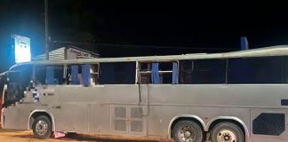 ¡Iban a USA! Detienen 198 migrantes en autobuses turísticos en México