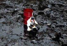 Emergencia ambiental por el derrame de petróleo en las costas de Perú