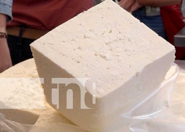 Se desbordan comprando queso a precio solidario en "Feria de los Lácteos"