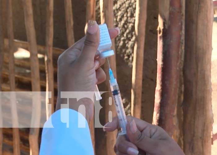  Aplicación de vacunas contra el COVID-19 en Mateare