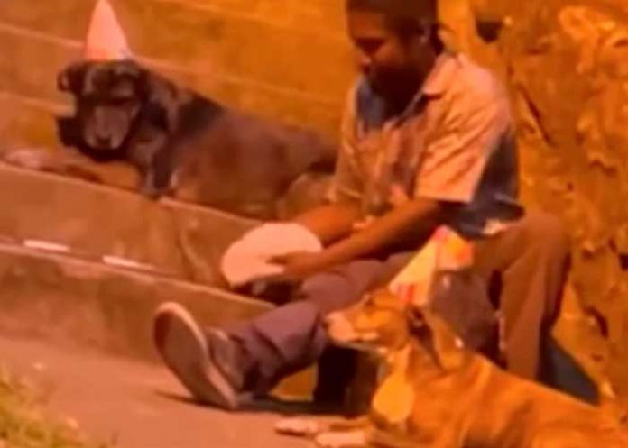 ¡Conmovedor! En colombia hombre celebra cumpleaños en la calle con sus perros