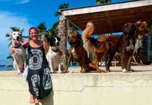 Por salvar a sus mascotas, mujer fallece tras erupción de volcán en Tonga