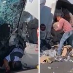 Sinvergüenzas de Veracruz dejan morir a conductor para robarle